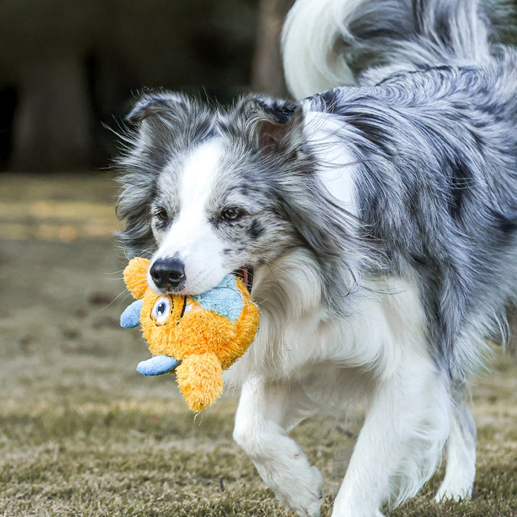 QMONSTER Chew Ball
