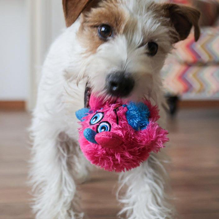 QMONSTER Chew Ball