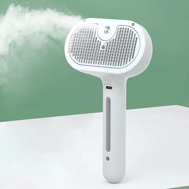 Brush With Steam Spray