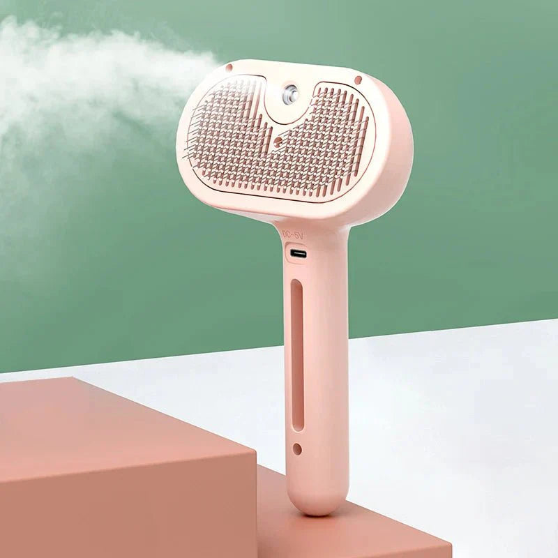 Brush With Steam Spray