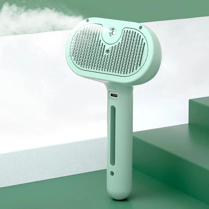 Brush With Steam Spray