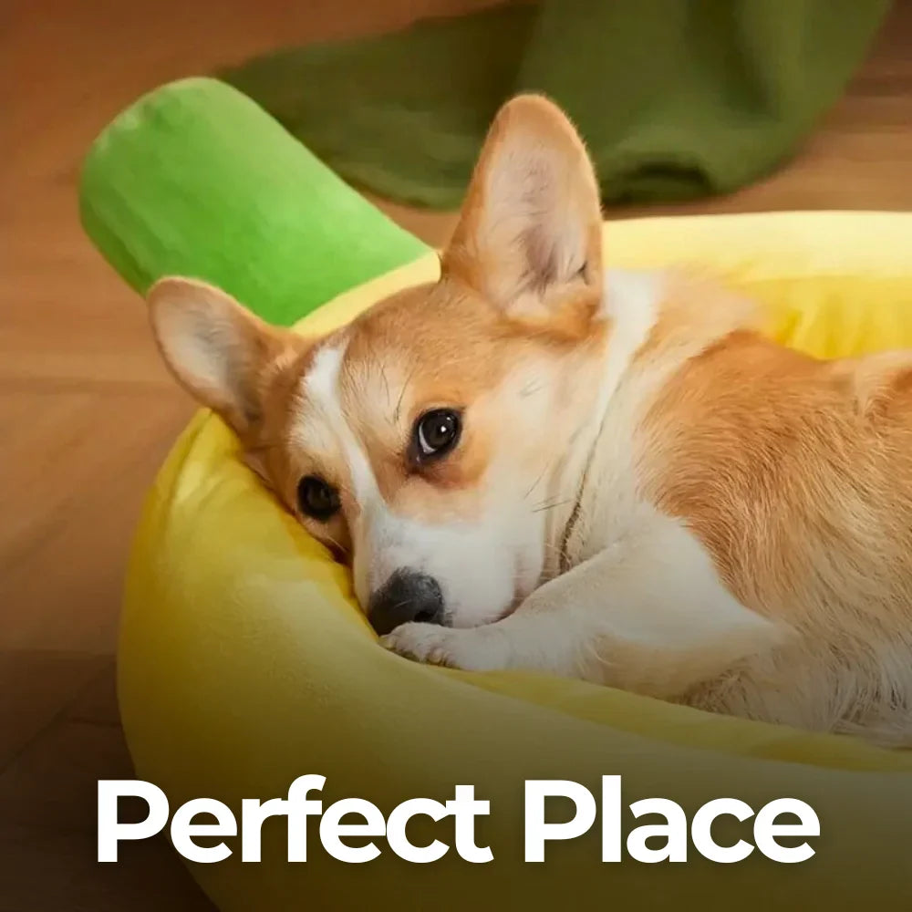 Banana Dog Nest