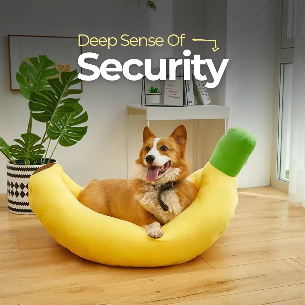 Banana Dog Nest