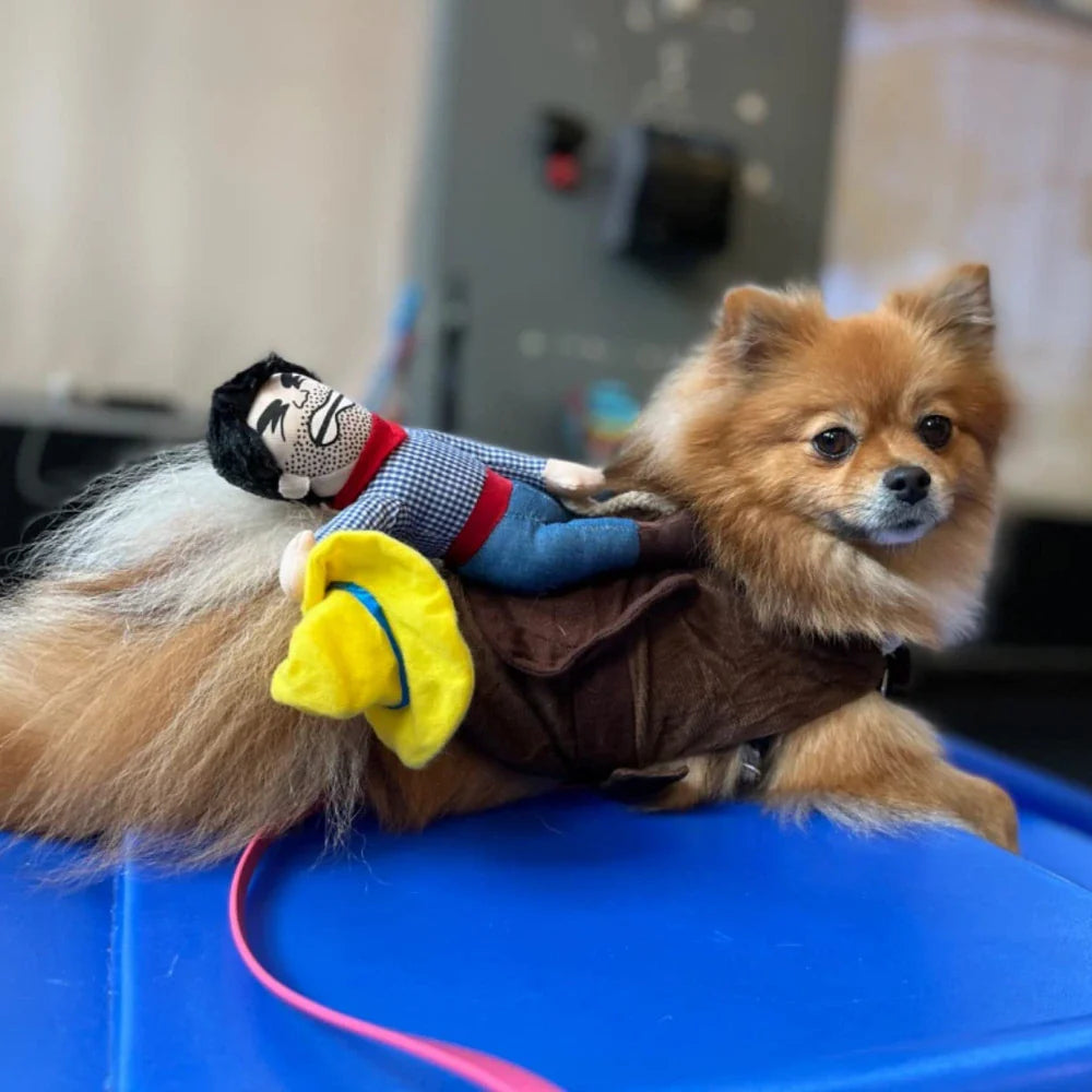 Cowboy Dog Costume