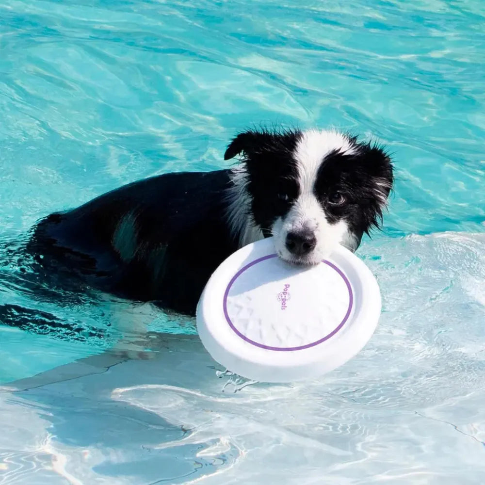 Durable Flying Disc Dog Toy