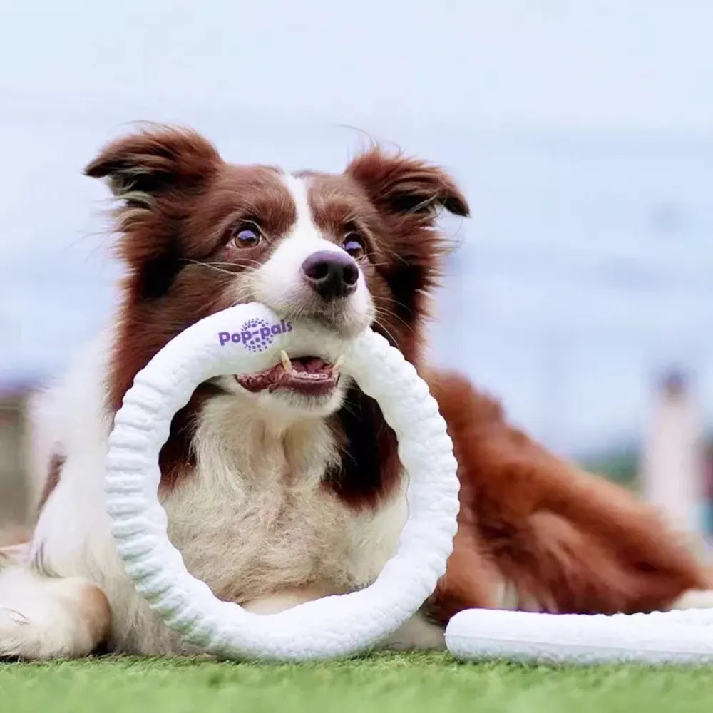 Durable Flying Disc Dog Toy