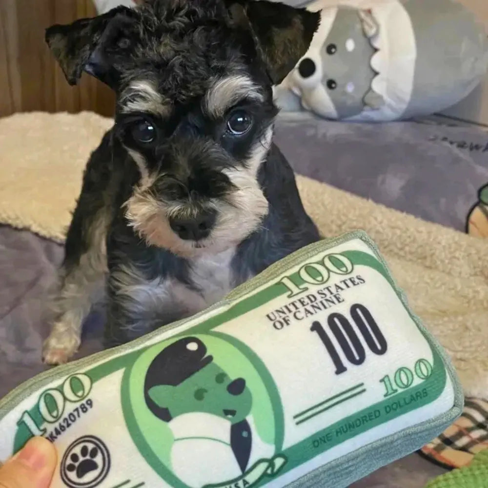 Rich Pup Squeaky Dog Toy