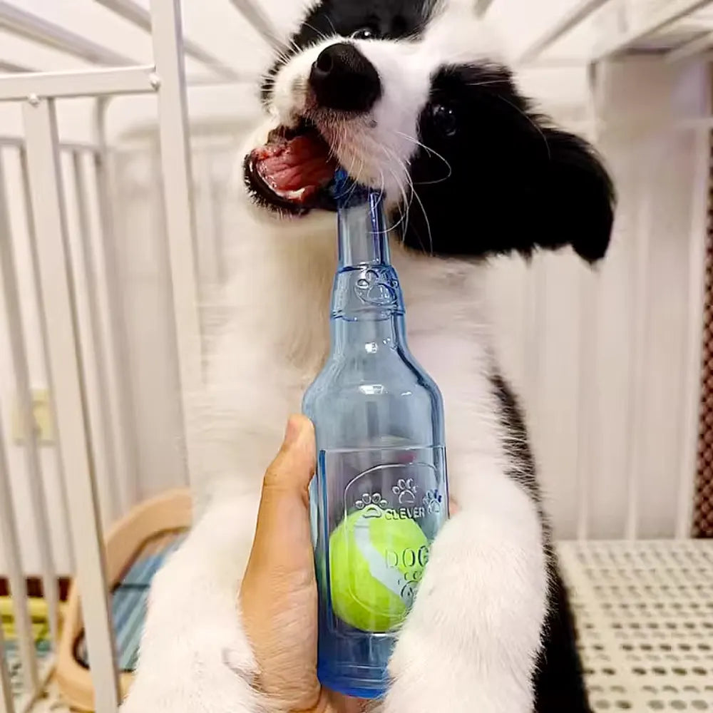 Tennis Ball Bottle