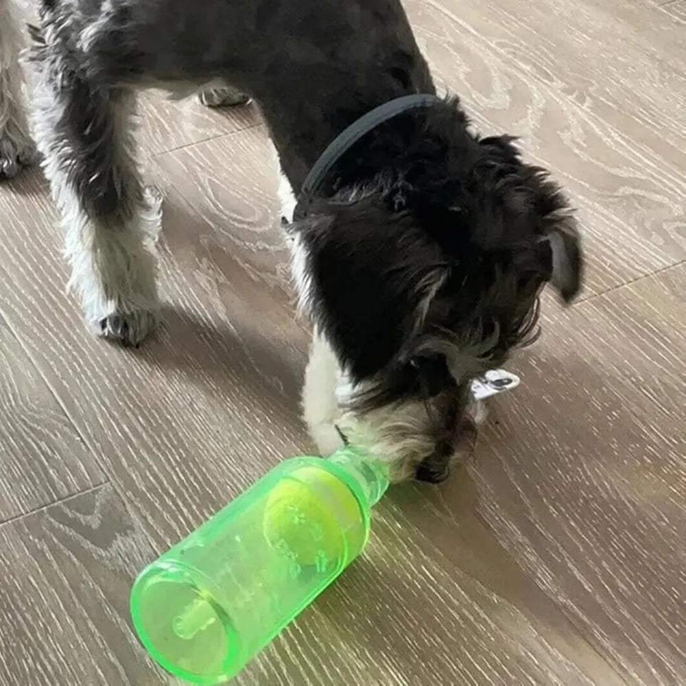 Tennis Ball Bottle
