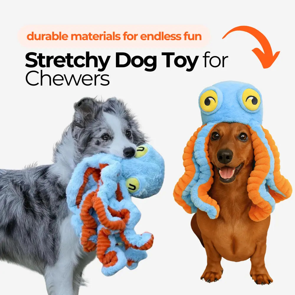 Stretchy Dog Toy for Chewers