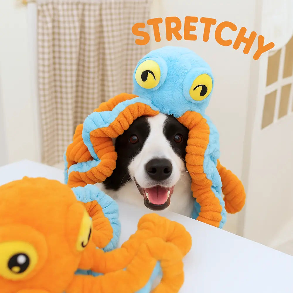 Stretchy Dog Toy for Chewers