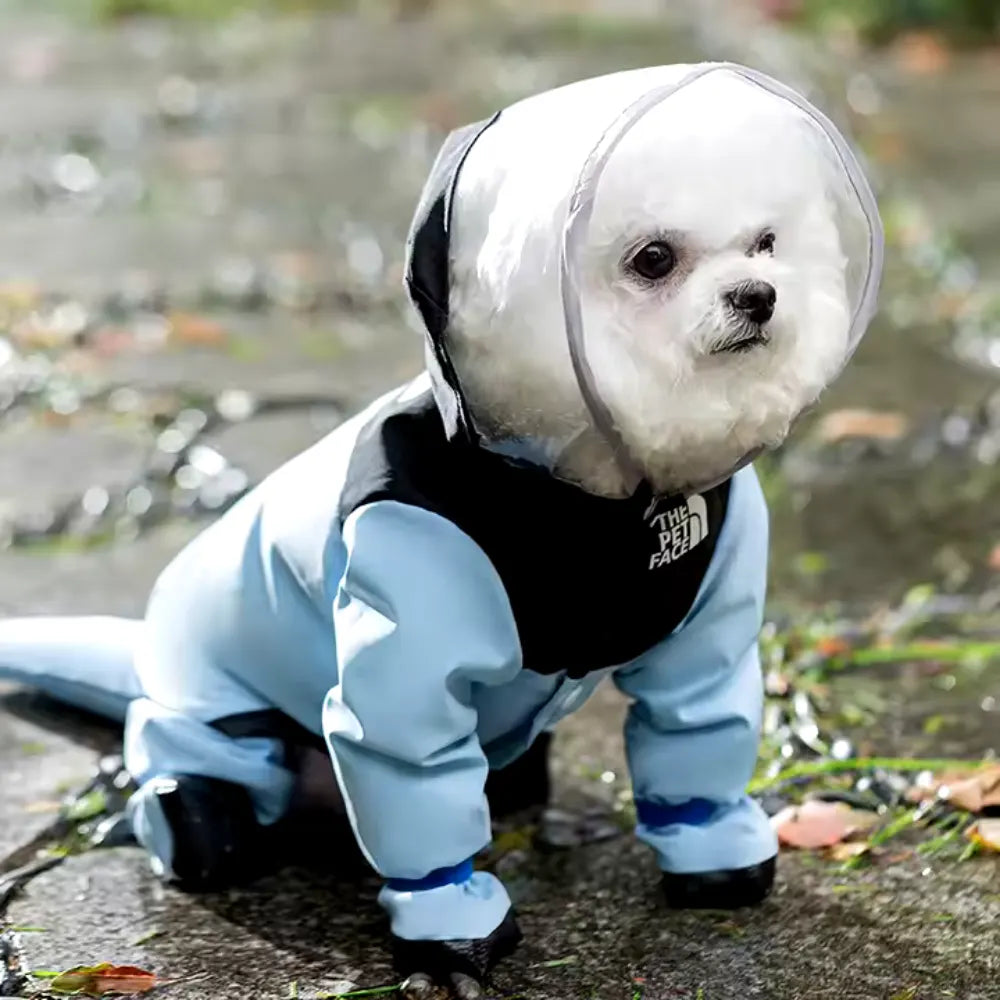 The Dog Face Raincoat