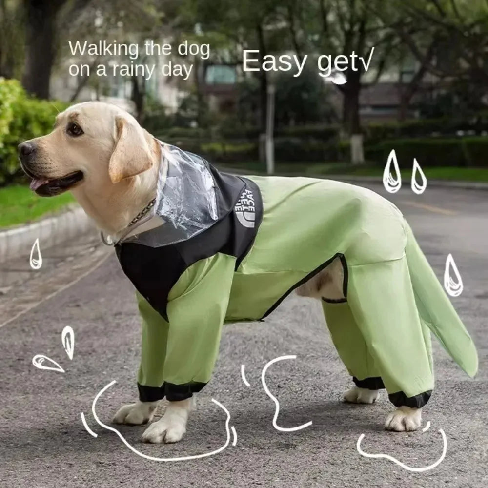 The Dog Face Raincoat