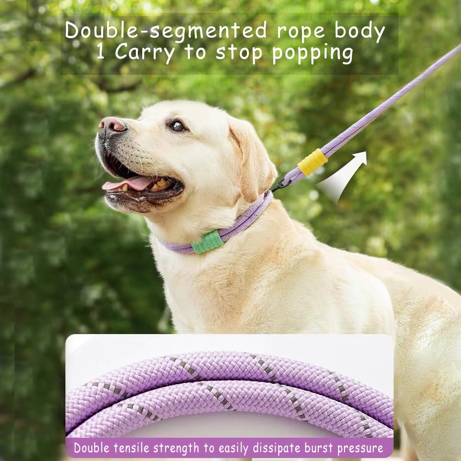 Explosion Proof Punch Cloud Bubble Dog Leash