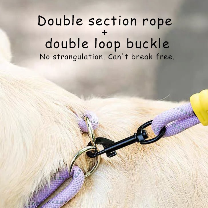 Explosion Proof Punch Cloud Bubble Dog Leash