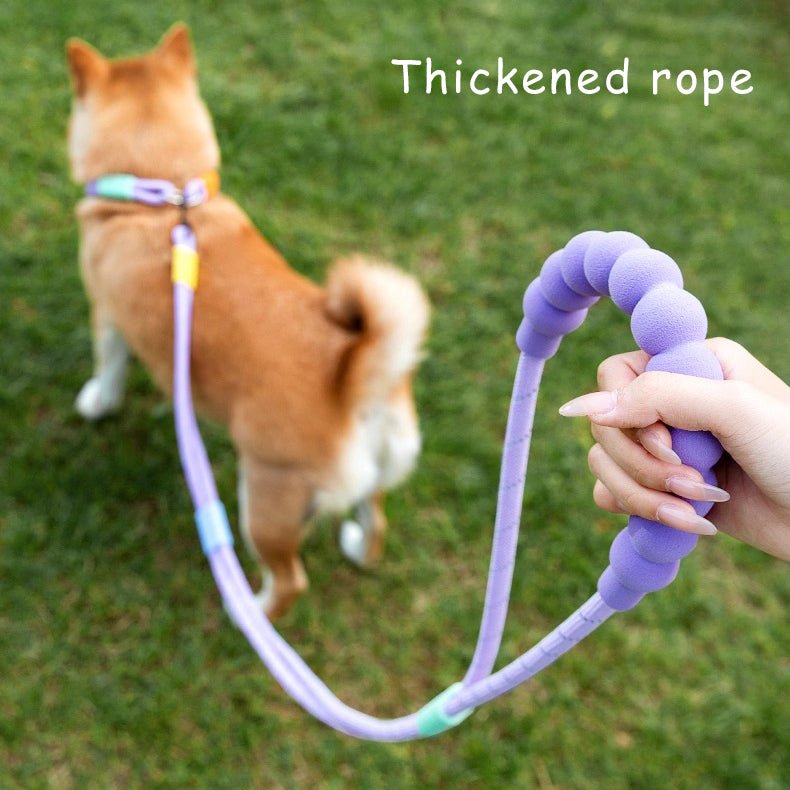 Explosion Proof Punch Cloud Bubble Dog Leash