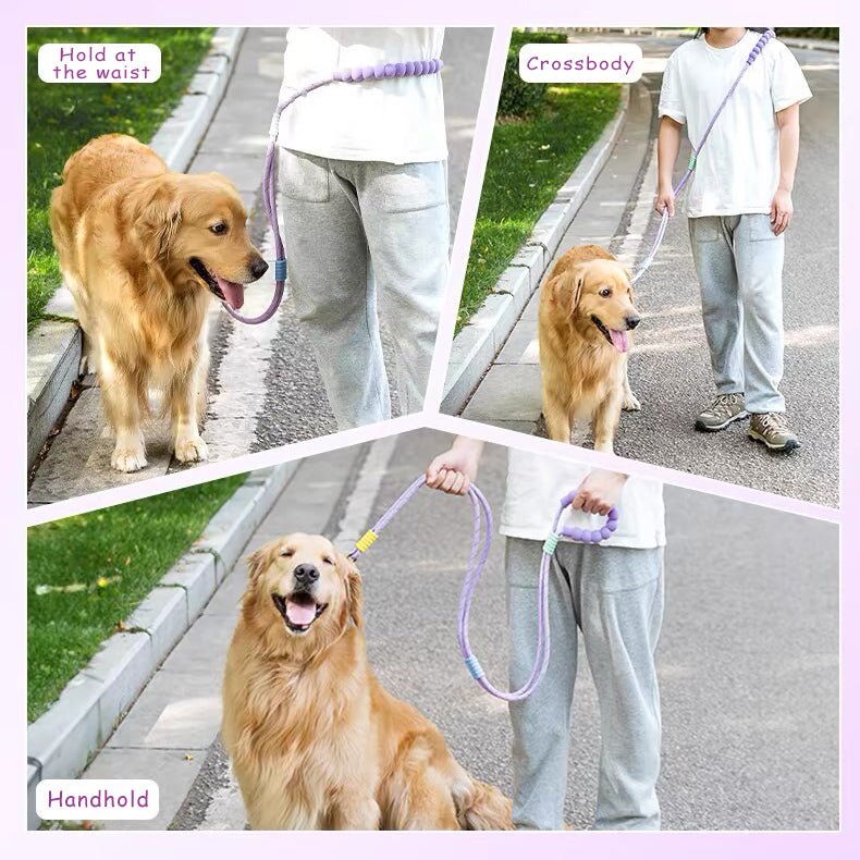 Explosion Proof Punch Cloud Bubble Dog Leash