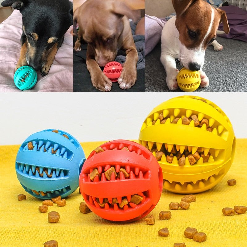 Interactive Tooth Clean Dog Ball Toy
