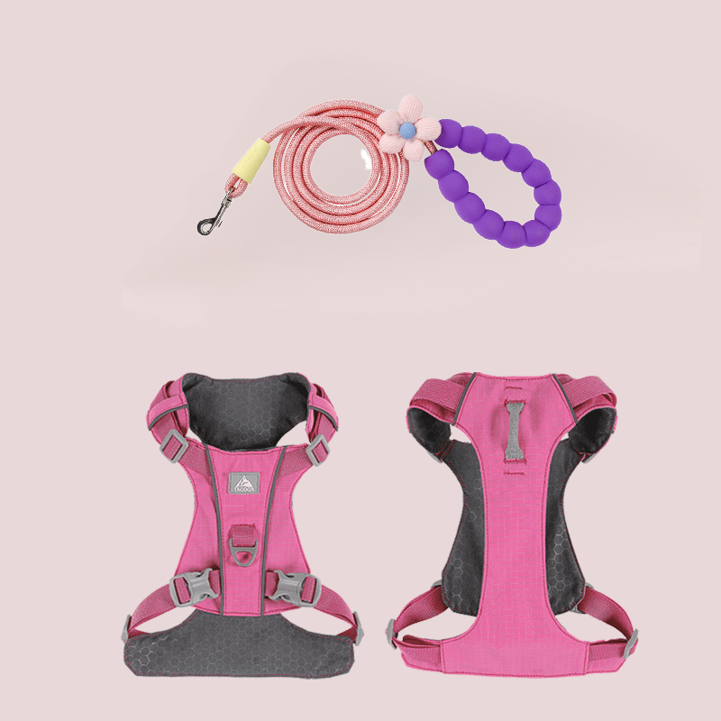 Stylish, cute and internet - famous pet harness