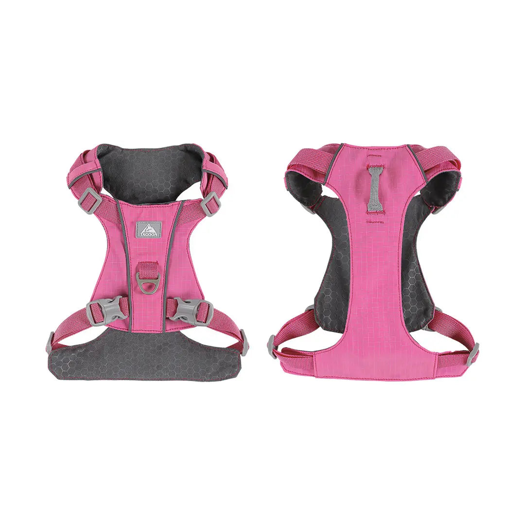 Stylish, cute and internet - famous pet harness