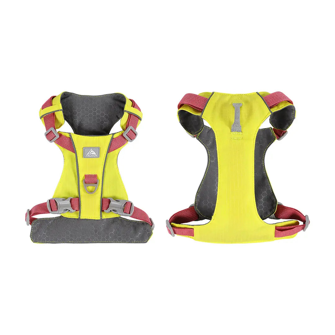 Stylish, cute and internet - famous pet harness