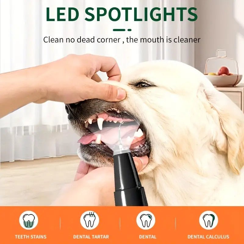 Teeth Cleaning Kit with LED Light