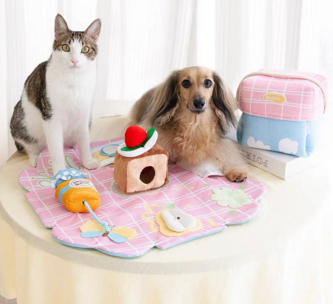 Picnic box snuffle toy