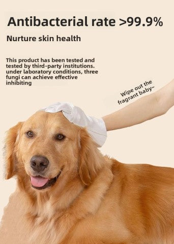 Pet Disposable gloves (50pcs)