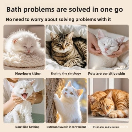 Pet Disposable gloves (50pcs)
