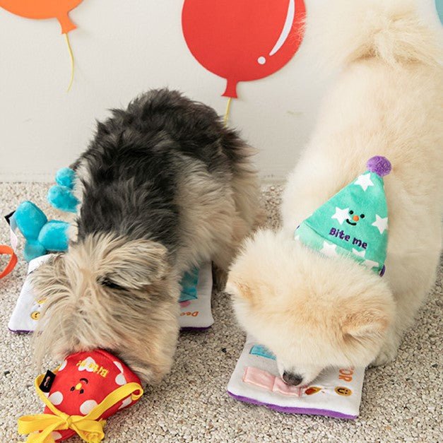 3-in-1 Interactive Celebration Kit
