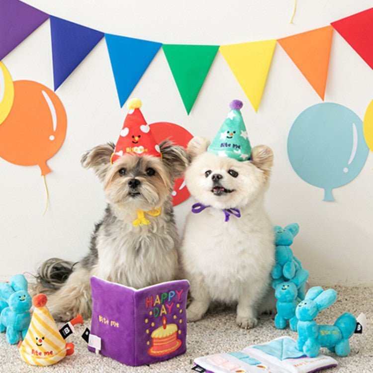 3-in-1 Interactive Celebration Kit