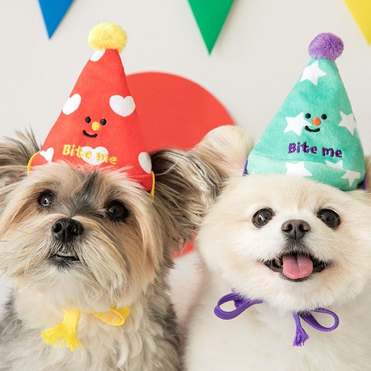 3-in-1 Interactive Celebration Kit