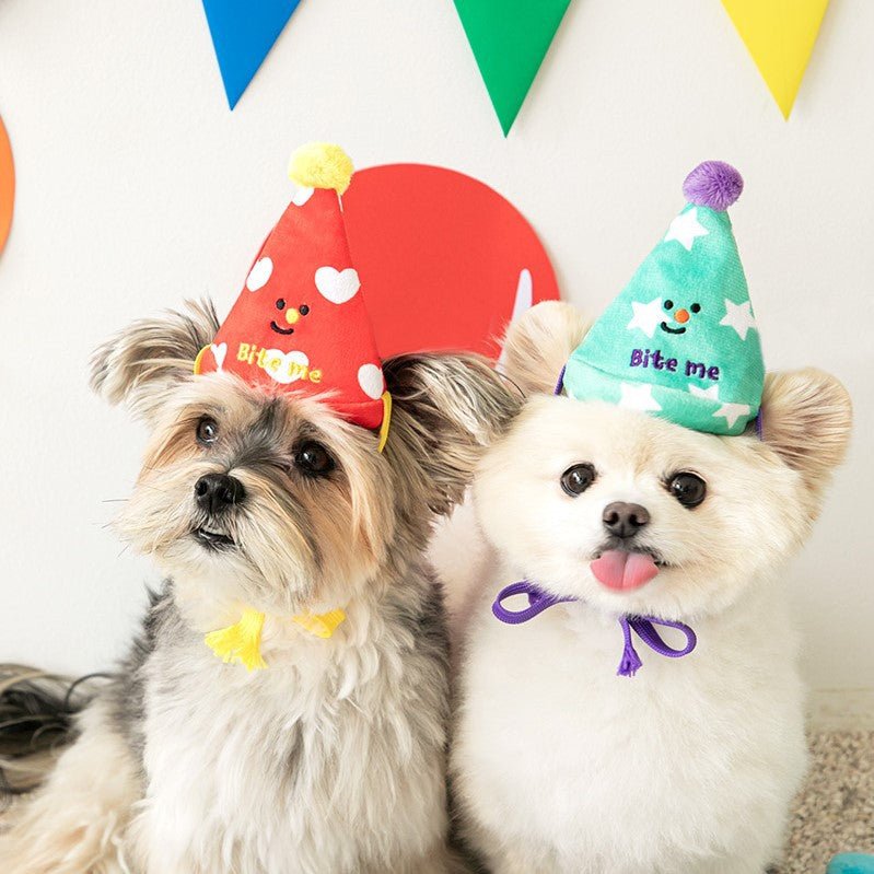 3-in-1 Interactive Celebration Kit