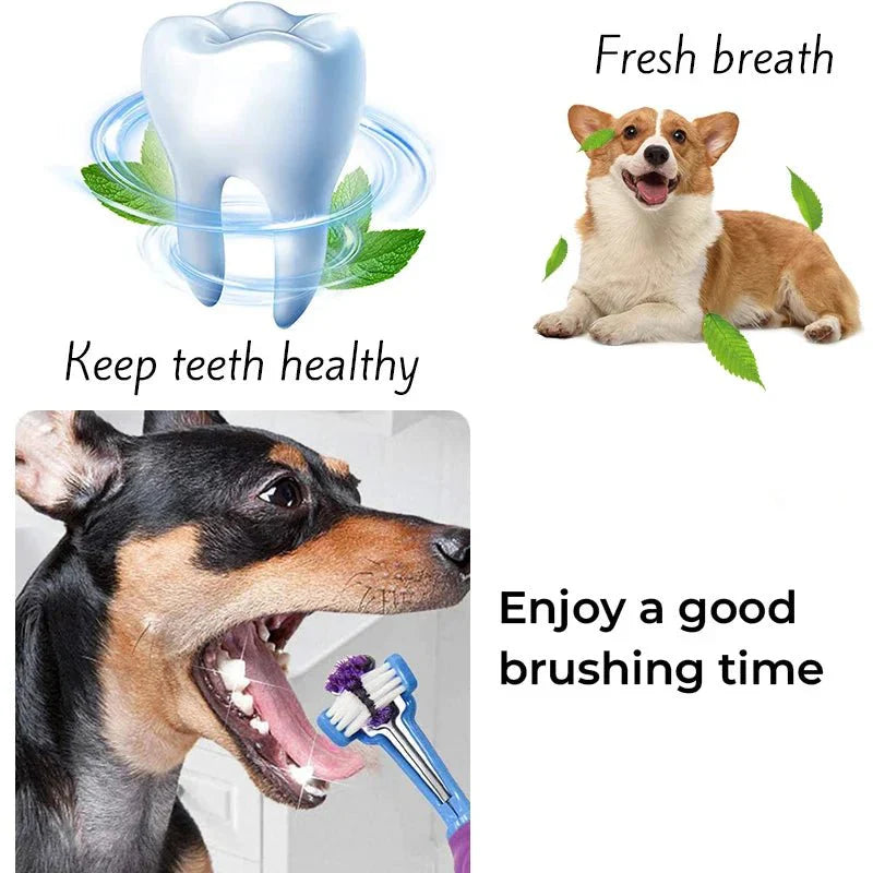 Triple Action Pet Toothbrush
