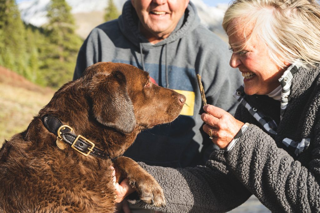 Which dog breed is right for me?