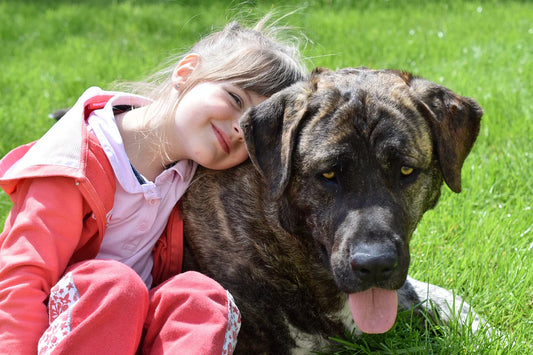 Safe Interactions Between Dogs and Children: A Guide for Parents