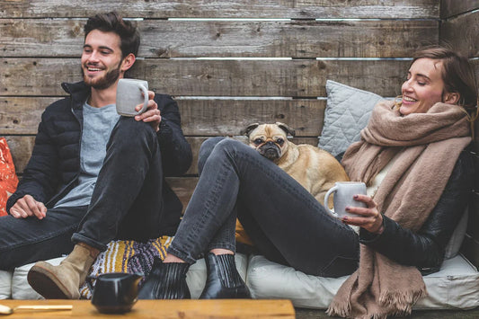 Choosing the Right Dog for Your Lifestyle