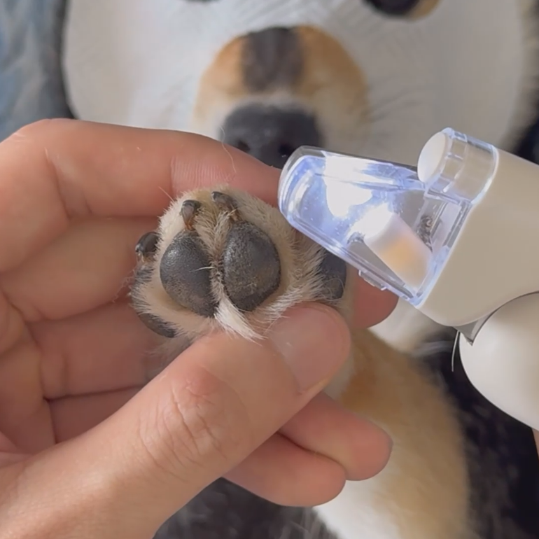 LED Nail Clippers for Pets