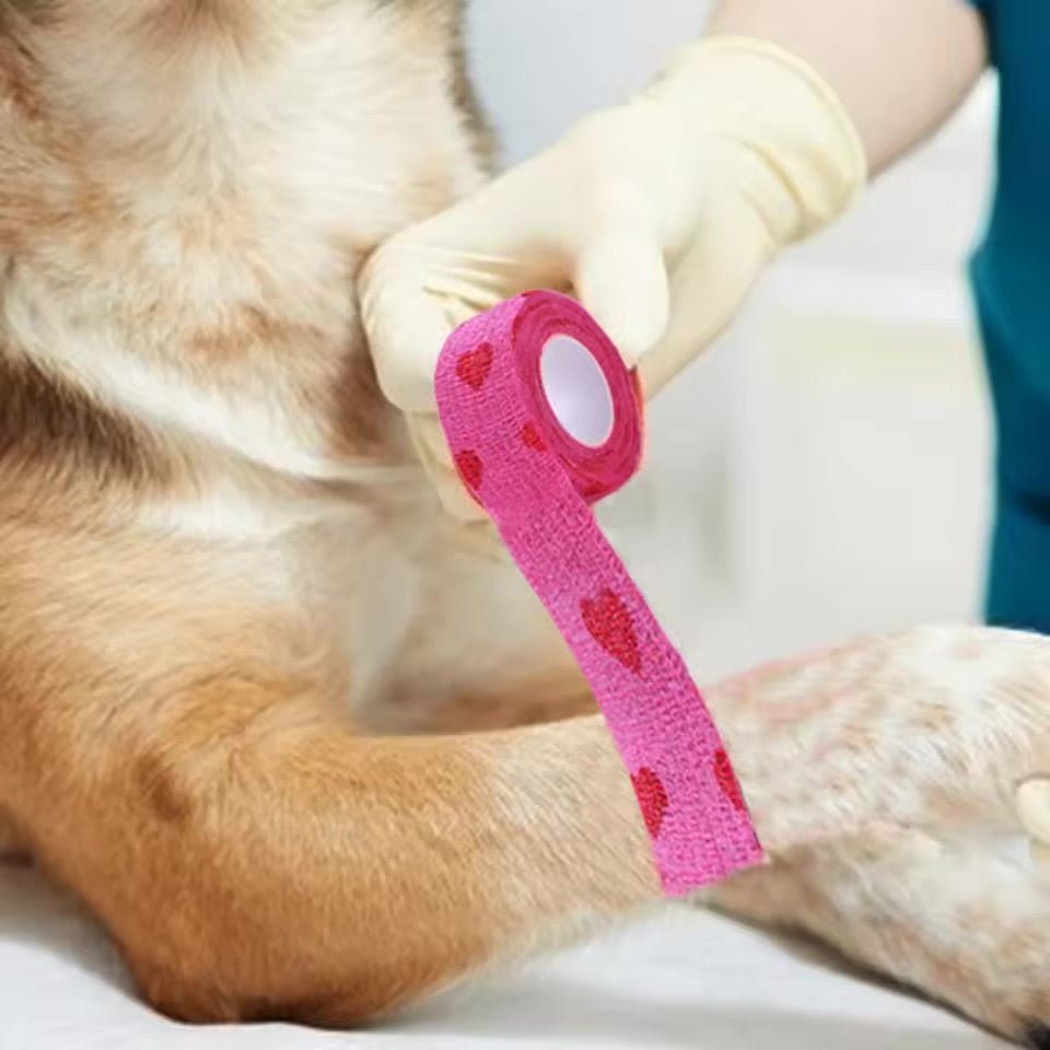 Staubabweisender Verband für Hunde