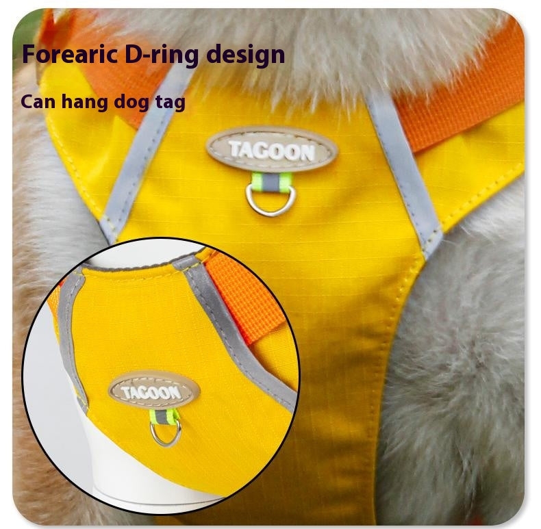 Lightweight pet harness with reflective strips + a free small night light
