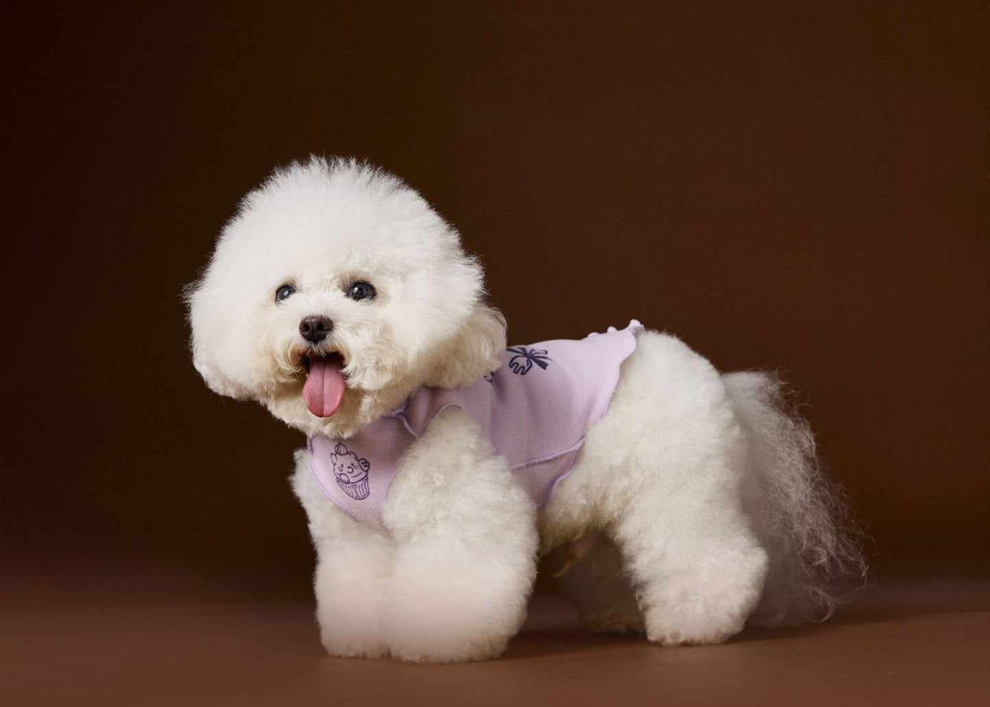 Reversible striped lace trim sleeveless vest for dogs