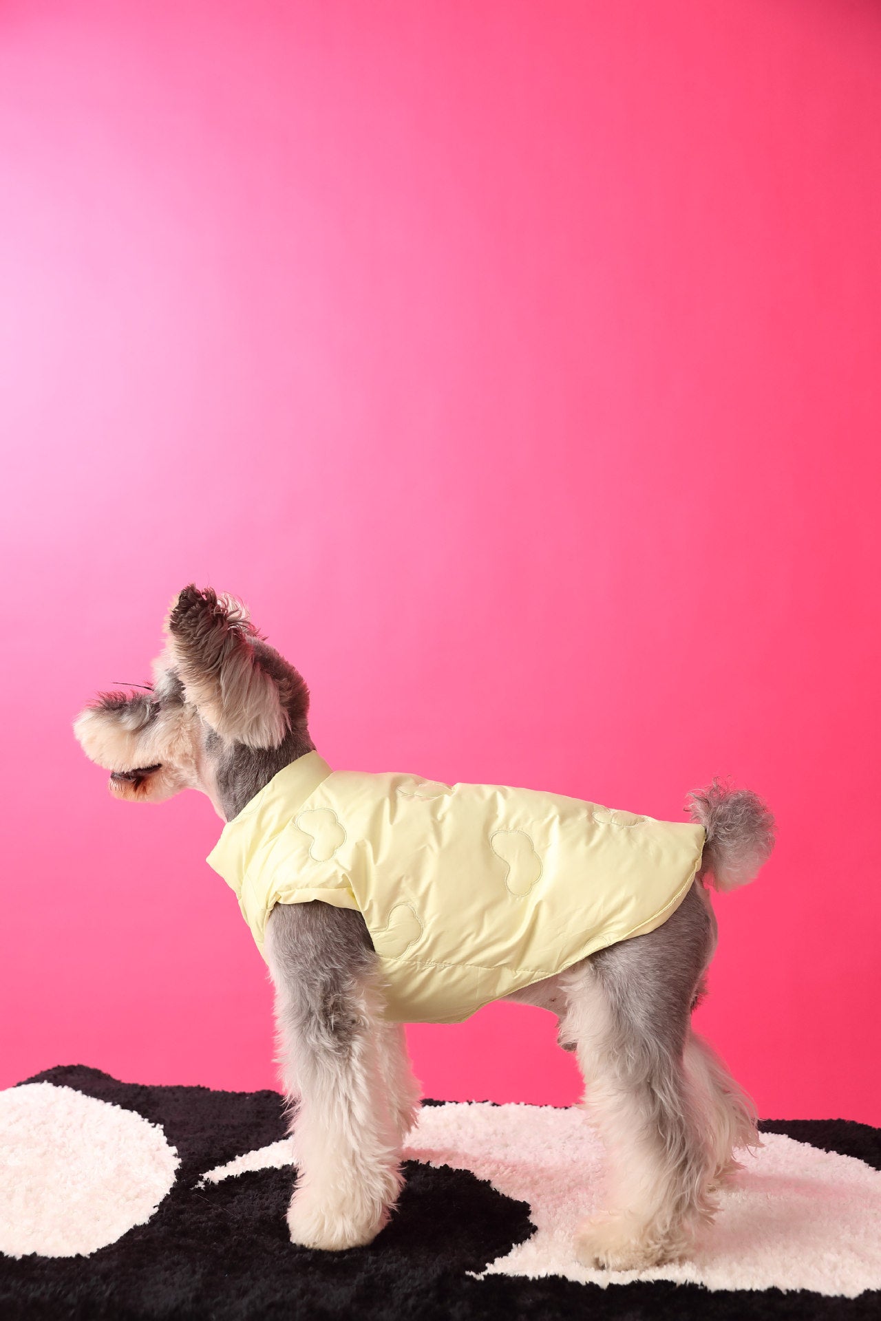 Warm puffer vest/sleeveless puffer vest for dogs