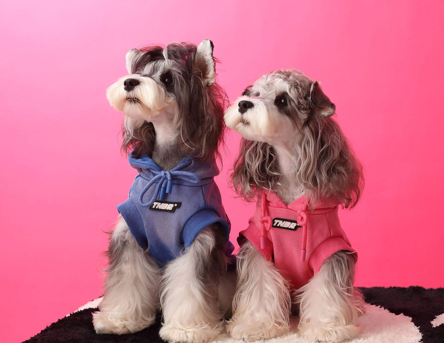 Gradient color sleeveless hooded sweatshirt for dogs