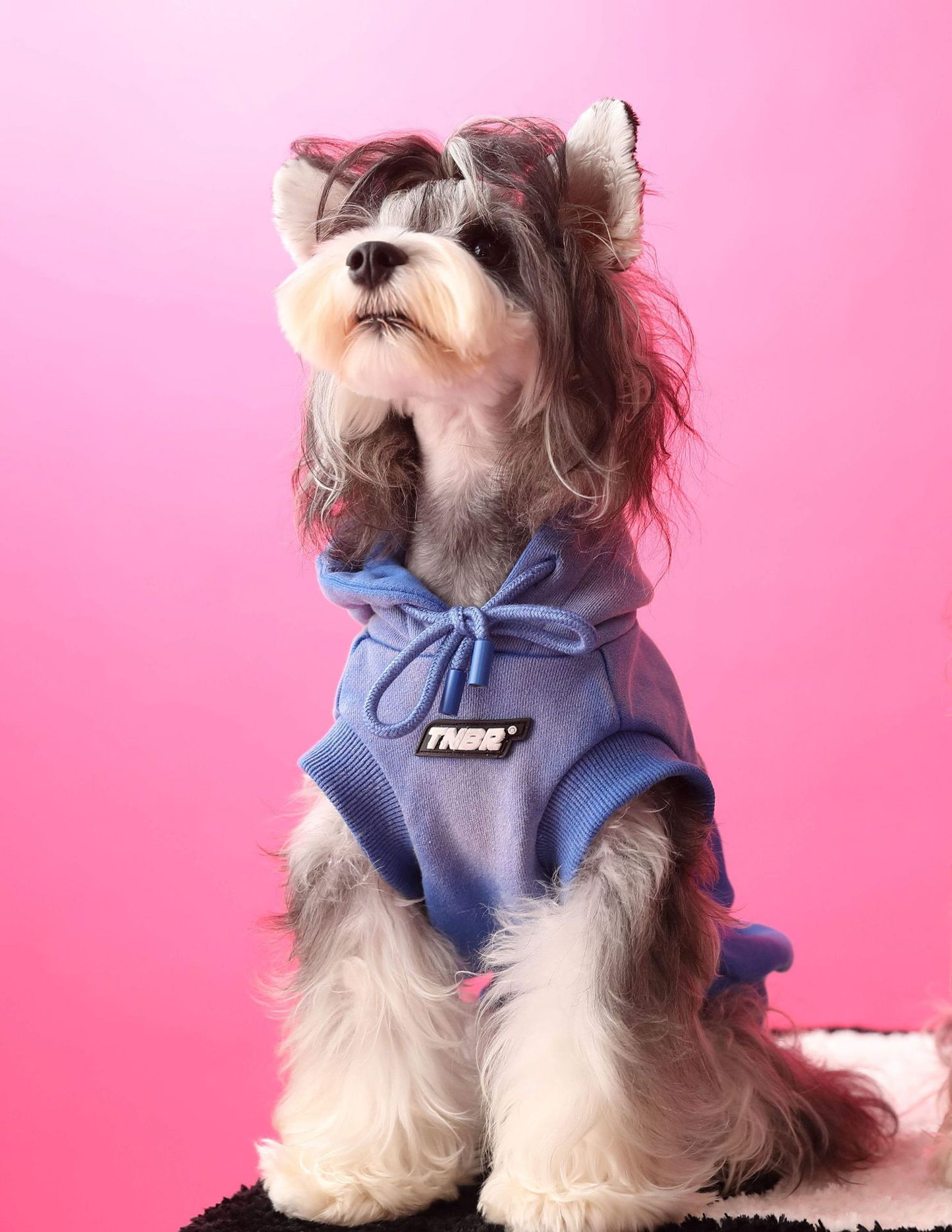 Gradient color sleeveless hooded sweatshirt for dogs