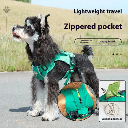 Lightweight pet harness with reflective strips + a free small night light
