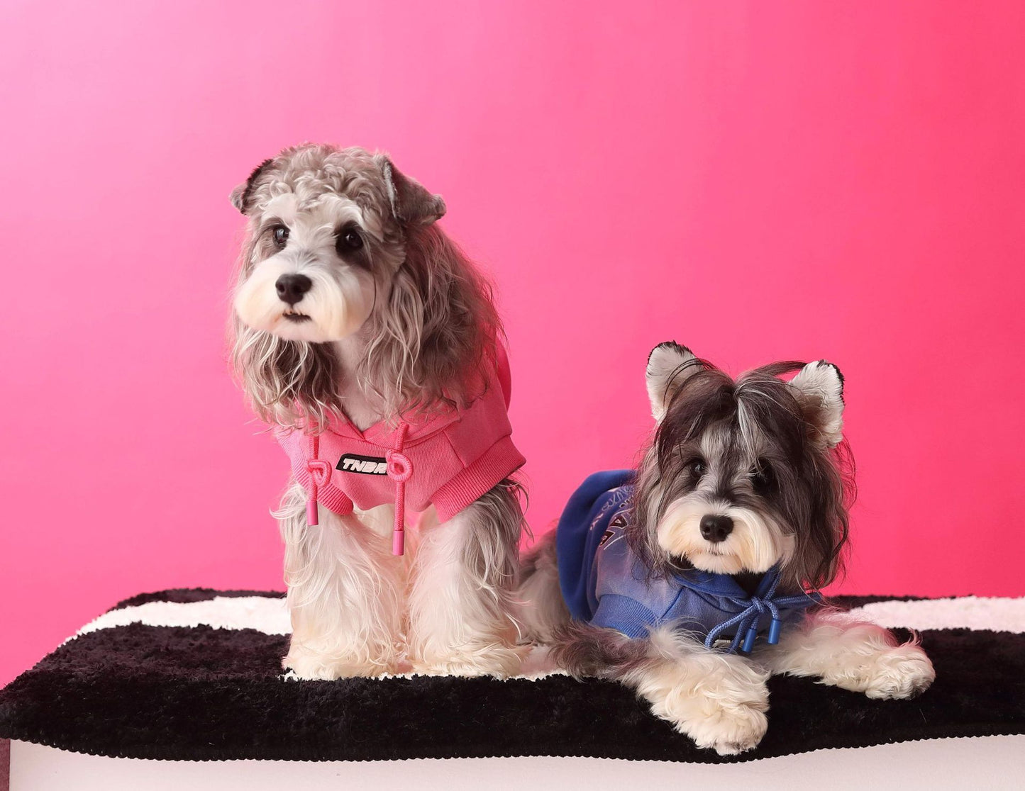 Gradient color sleeveless hooded sweatshirt for dogs