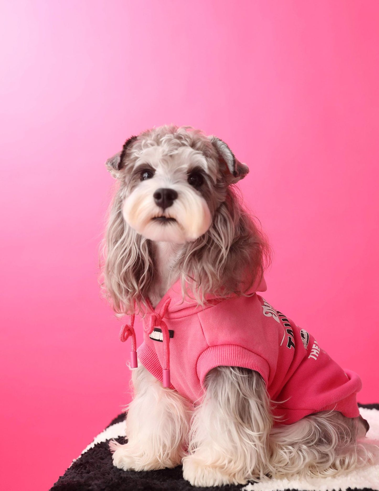 Gradient color sleeveless hooded sweatshirt for dogs