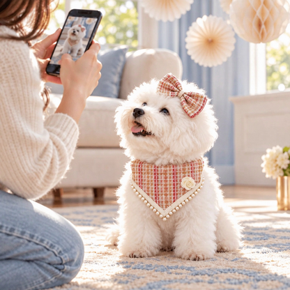 Pearl-Trim Pet Scarf & Bow Set