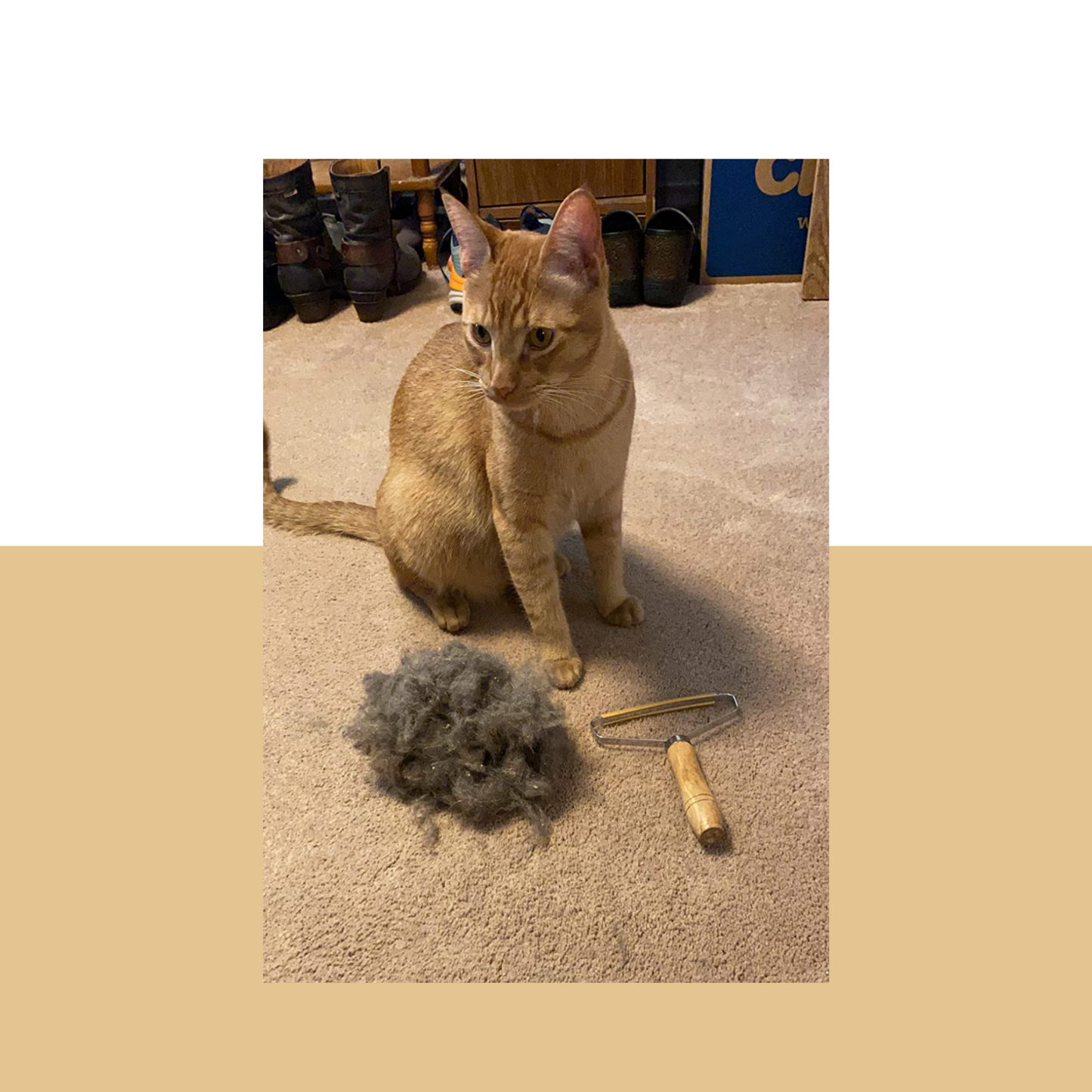 Pet Hair Remover