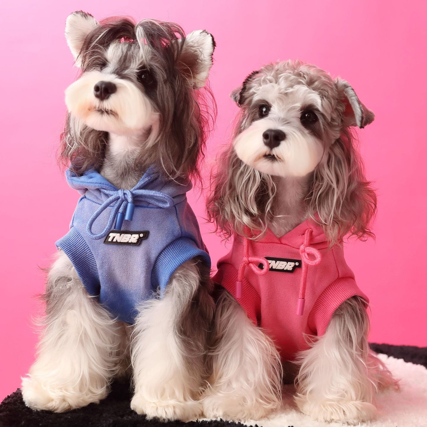 Gradient color sleeveless hooded sweatshirt for dogs